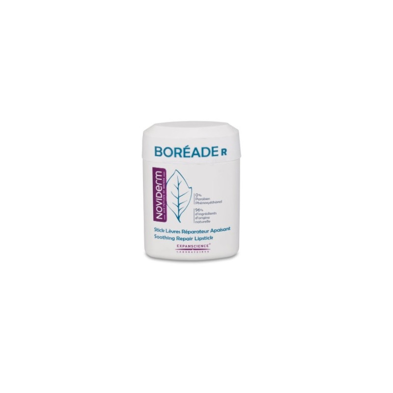 Boreade r stick reparador 11 ml