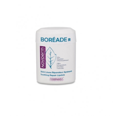 Boreade r stick reparador 11 ml