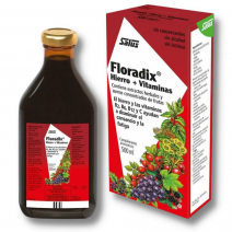 Floradix hierro jarabe 500 ml