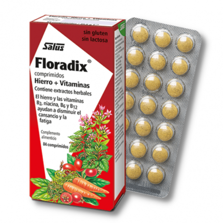 Floradix 84 comprimidos