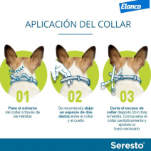 como utilizar el Collar Seresto perros de menos de 8KG