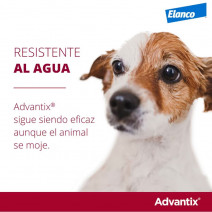 Advantix pipetas perros +25 kg 4uds