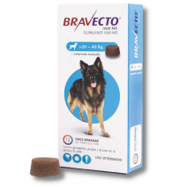 Bravecto perro 20-40 kg 1 comprimido
