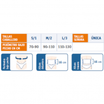 Faja costal be165 t-s 1 ud