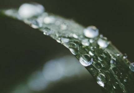 Aceites esenciales para que sirven