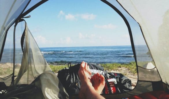 Evitar las picaduras de mosquitos en verano