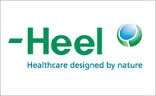 HEEL